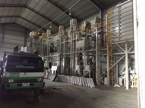 柬埔寨大米加工廠 優(yōu)質(zhì)稻米產(chǎn)業(yè)鏈與食品經(jīng)營商機(jī)解析